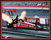 2008-winternationals-budweiser-top-fuel